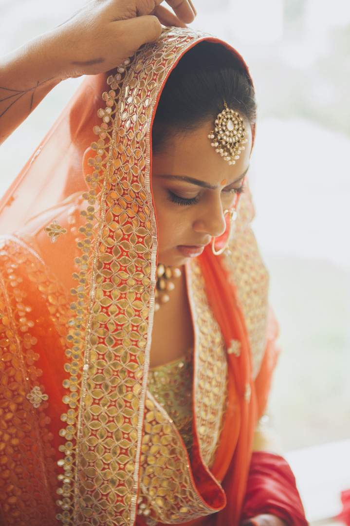 Image of Radhika_Nirbhay-42 Radhika_Nirbhay-42