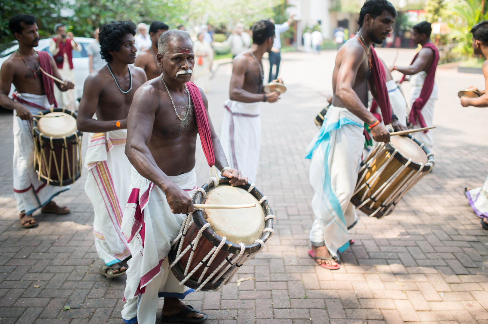 Image of DSC8828 _DSC8828