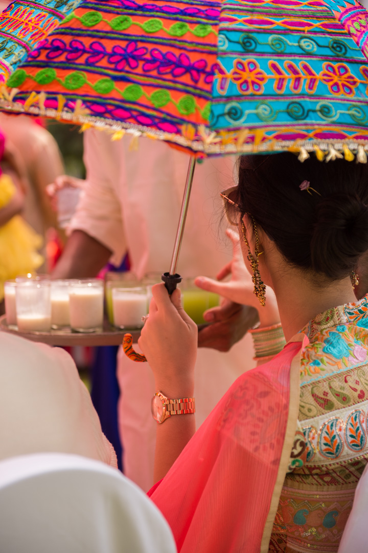 Image of DSC8984 _DSC8984
