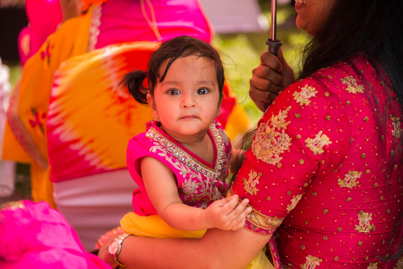 Image of DSC8992 _DSC8992