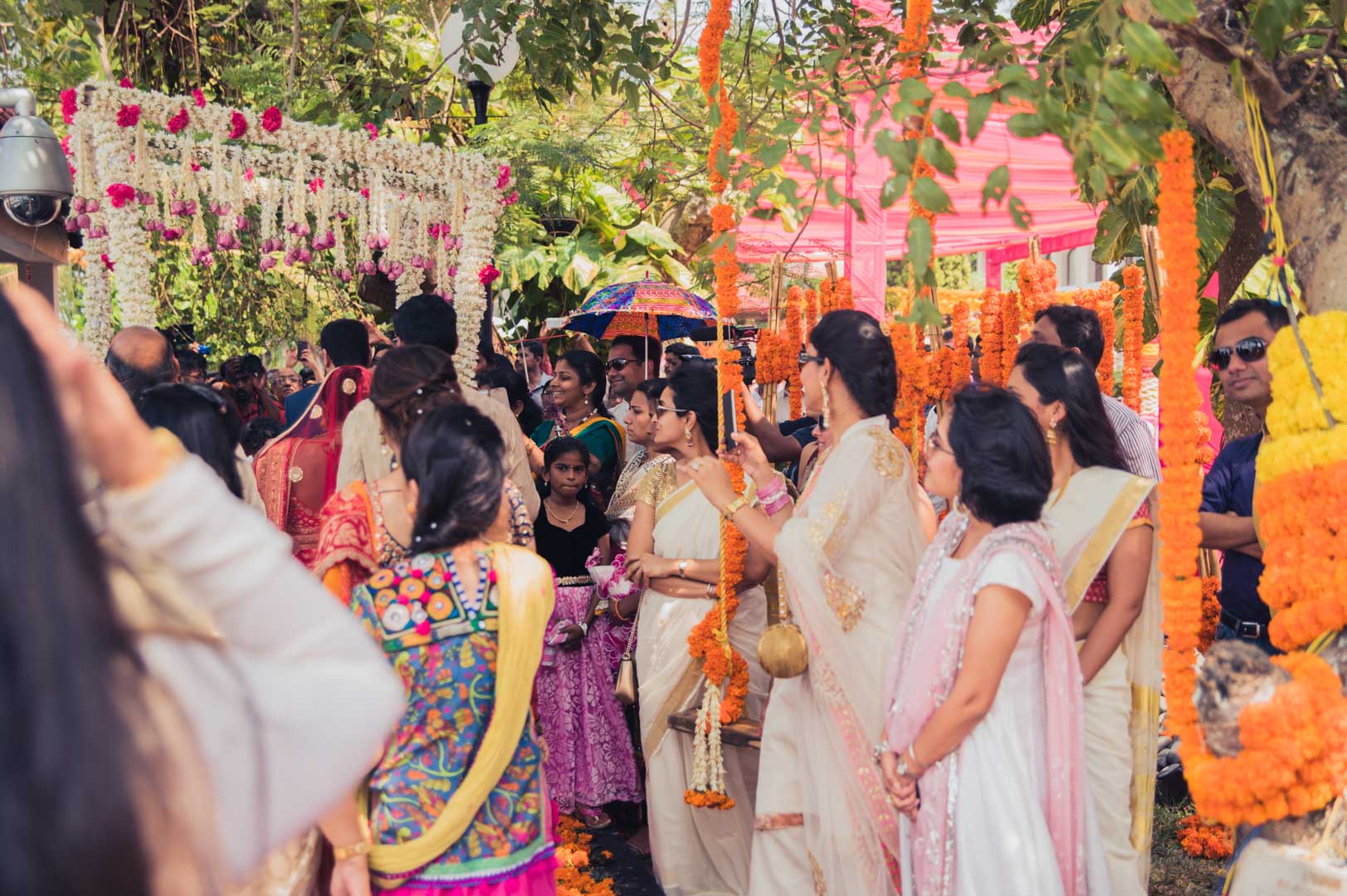 Image of DSC_9656 DSC_9656