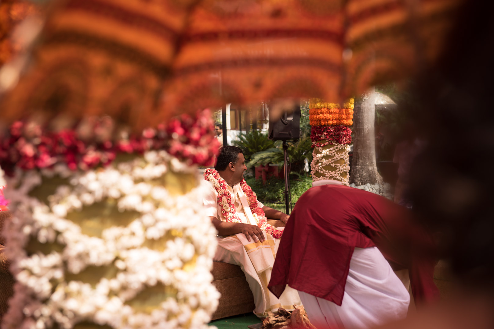 Image of DSC_9738 DSC_9738