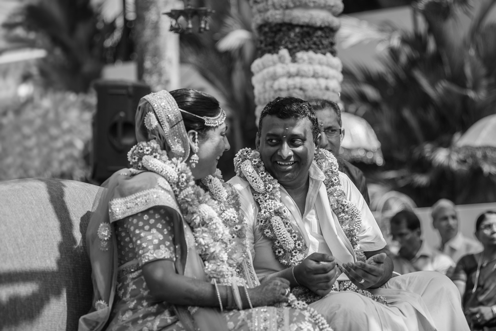 Image of DSC_9800 DSC_9800